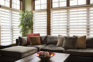 Types of blinds