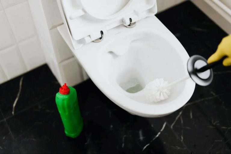 Can Bleach Unclog a Toilet? Everything You Need to Know