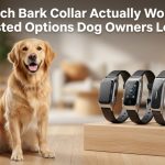 Which Bark Collar Actually Works? Tested Options Dog Owners Love