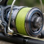 How to Choose the Best Freshwater Fishing Reel for Any Situation