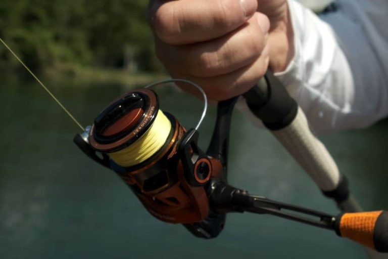 How to Choose the Best Fishing Line for a Spinning Reel